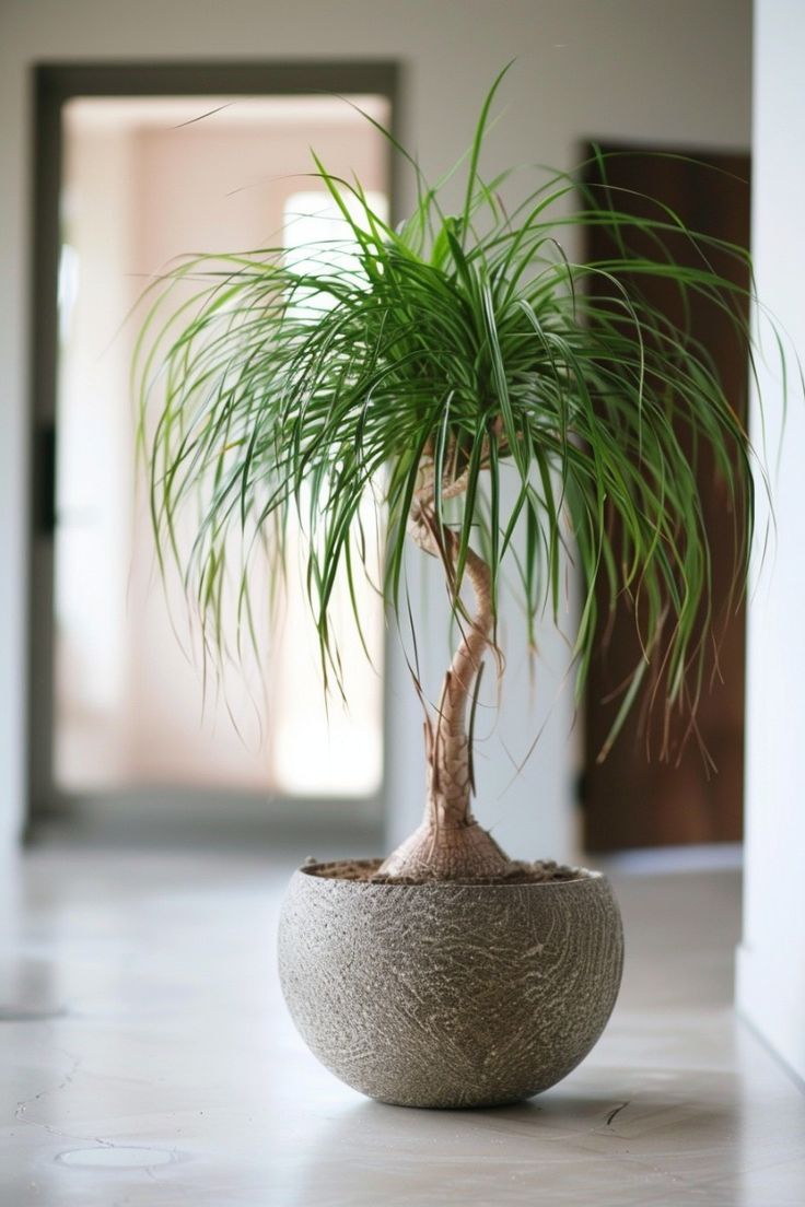 storage/photos/32/Botany_plant/1758689301.jpg